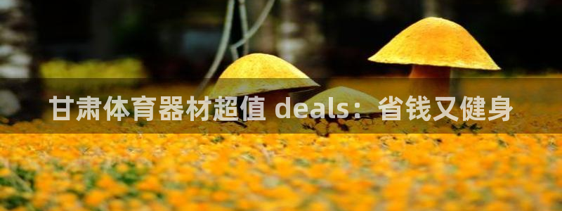 富联平台登录网址是什么：甘肃体育器材超值 deals