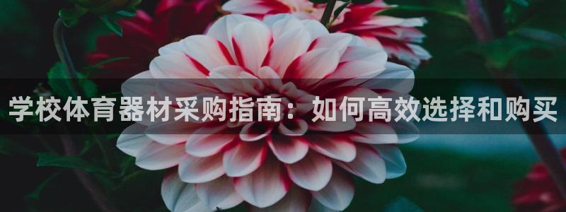 富联官方网站入口下载：学校体育器材采购指南：如何高效