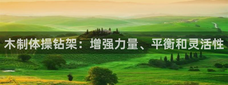 富联官方网站入口下载安卓：木制体操钻架：增强力量、平