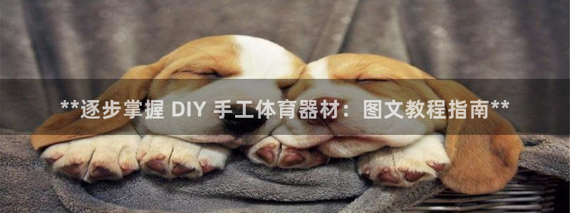 富联平台城7O777：**逐步掌握 DIY 手工体育