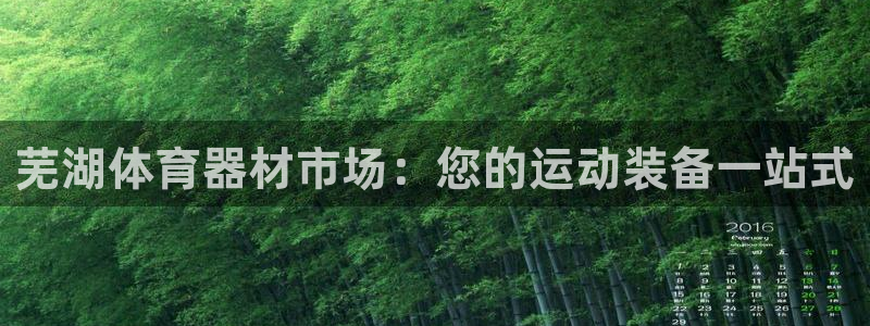 富联平台登录网址是多少：芜湖体育器材市场：您的运动装