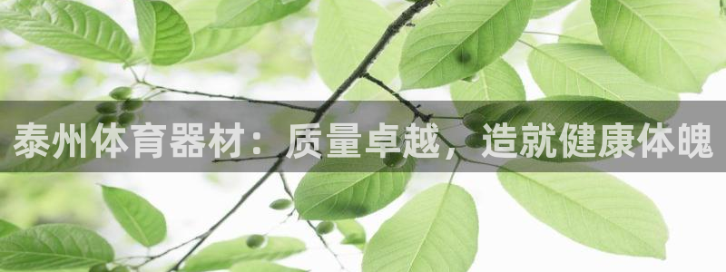 富联平台q665.786：泰州体育器材：质量卓越，造