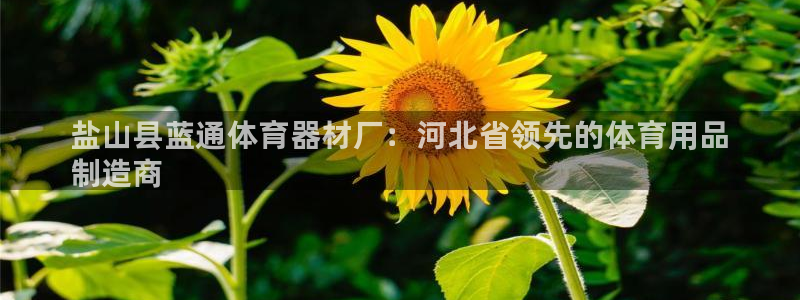 富联地产怎么样:盐山县蓝通体育器材厂:河北省领先的体育用品