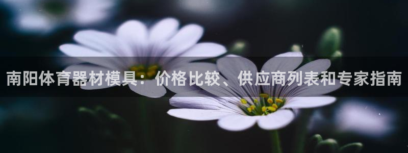 富联劳务:南阳体育器材模具:价格比较、供应商列表和专家指南